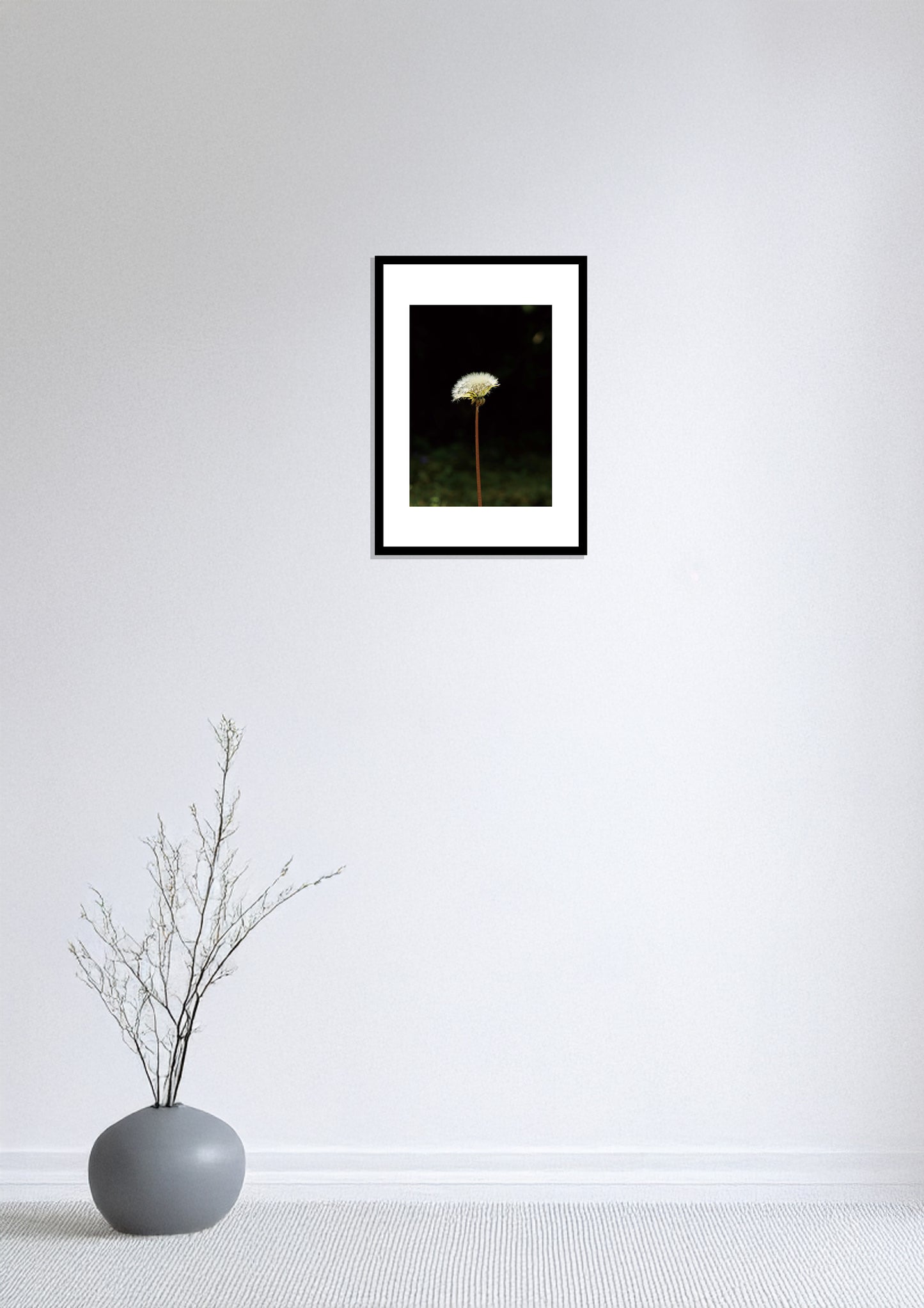 The Beginning of a Dandelion / たんぽぽの始まり | A2 Print Only