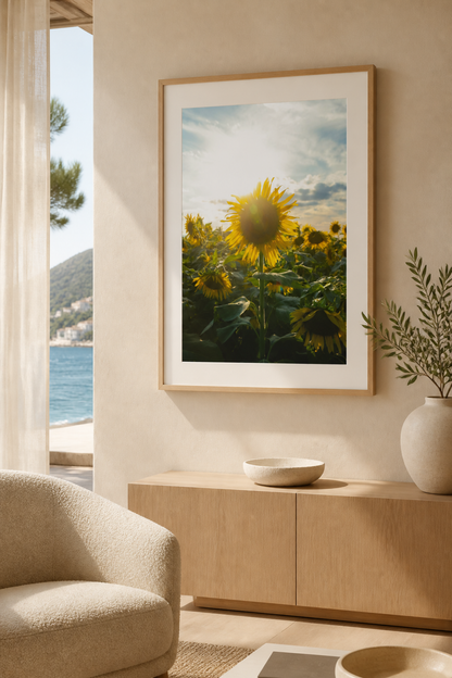 Blooming in the Light / 光に咲く  | A2 Print Only