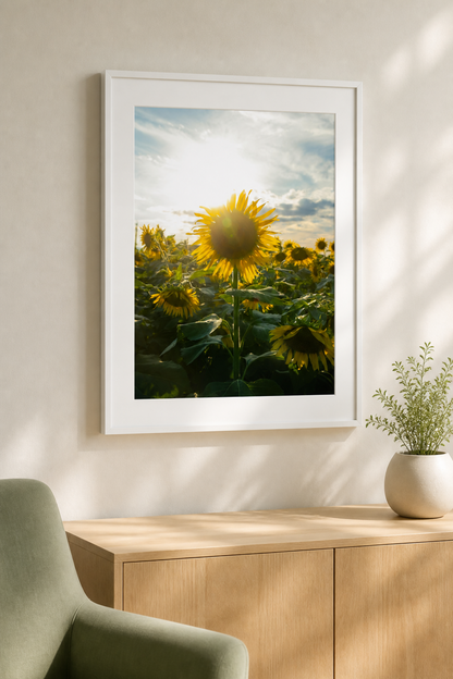 Blooming in the Light / 光に咲く  | A2 Print Only
