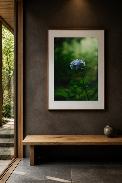 Silent Hydrangea / 静寂の紫陽花 | A2 Print Only