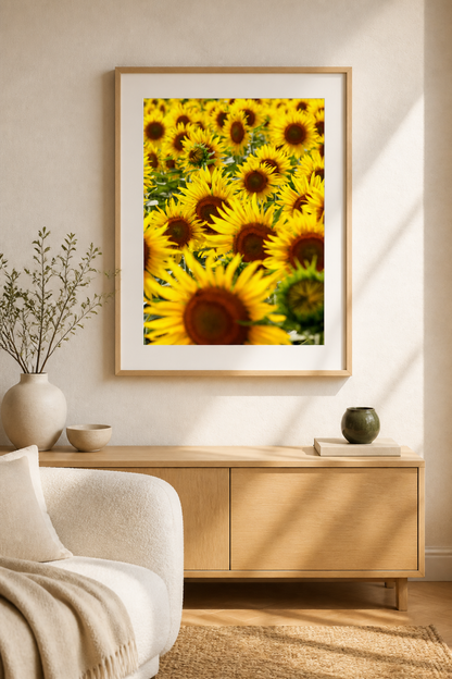 Field of Sunflowers / ひまわり畑 | A2 Print Only