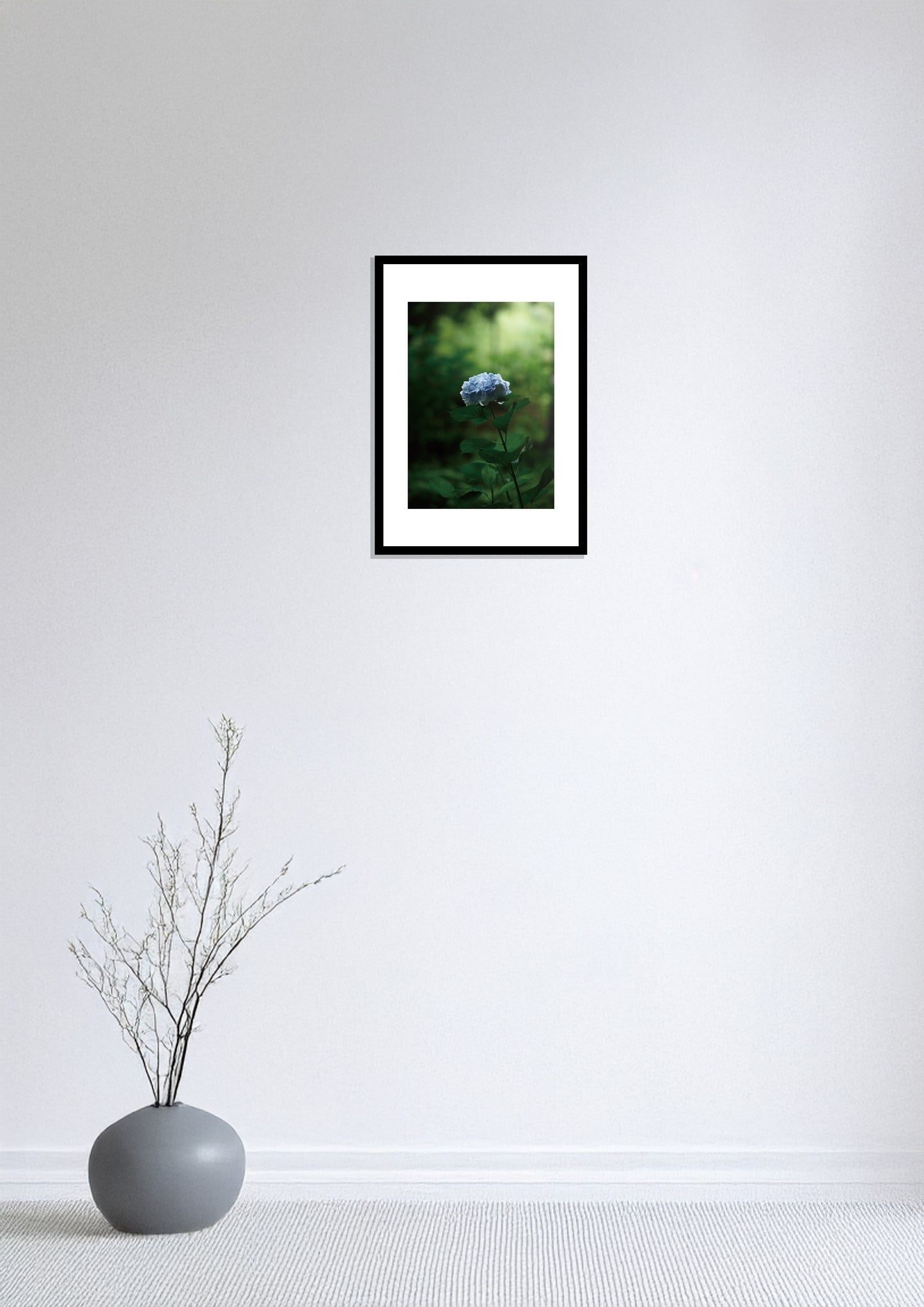Silent Hydrangea / 静寂の紫陽花 | A2 Print Only