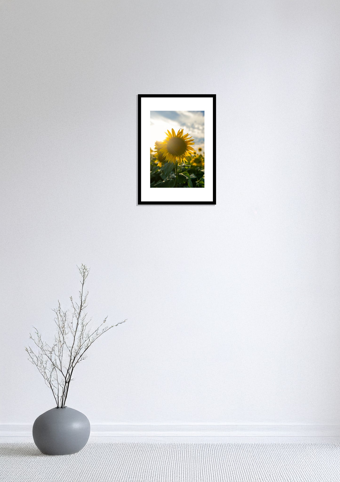 The Radiance of Sunflowers / 向日葵の輝き | A2 Print Only