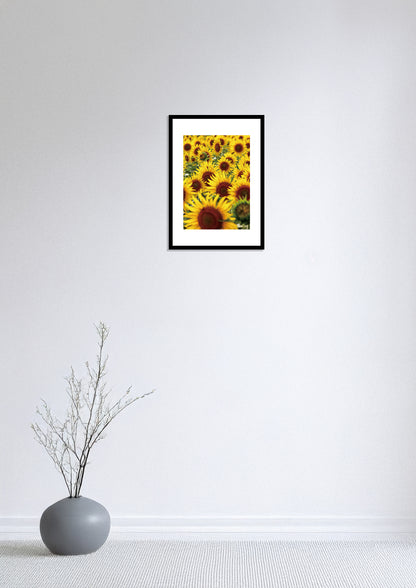 Field of Sunflowers / ひまわり畑 | A2 Print Only