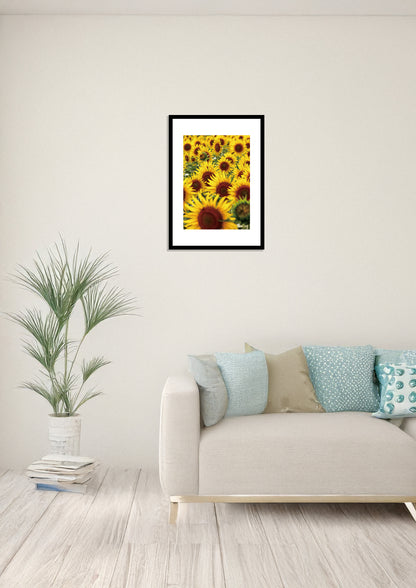 Field of Sunflowers / ひまわり畑 | A2 Print Only