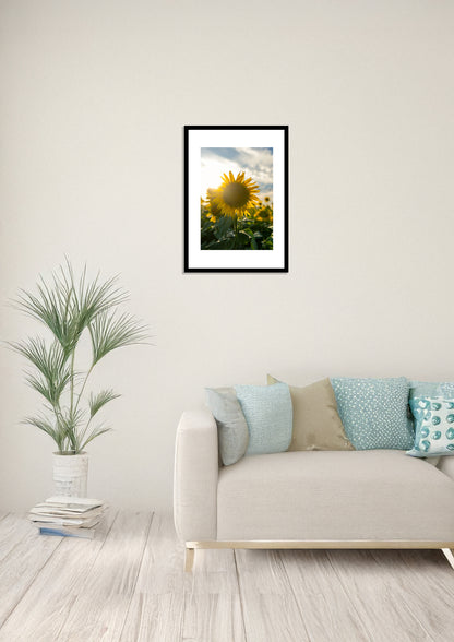 The Radiance of Sunflowers / 向日葵の輝き | A2 Print Only