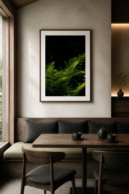 Leaves of Light / 光の葉 | A2 Print Only